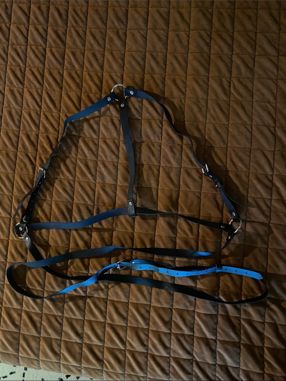 Fashion Black Adjustable Harness Belt